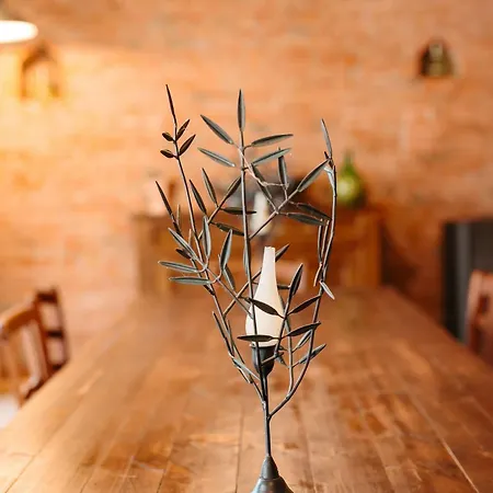 Cascina Fontanavi Costigliole d'Asti