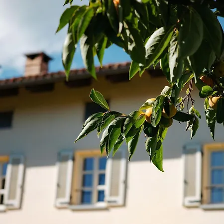 Cascina Fontanavi Bed & Breakfast Costigliole d'Asti